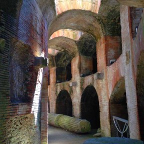 11223905_10206107029209753_154087644926359696_n